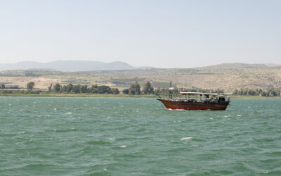 April 2026 Newsletter